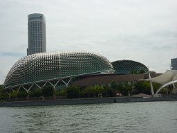 111_image